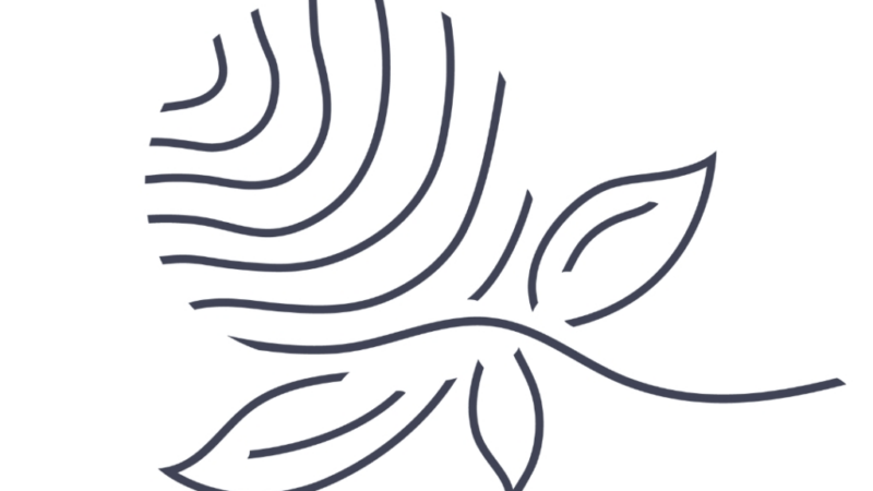 Individual Beauty – Individuelle High-End-Behandlungen in Wien