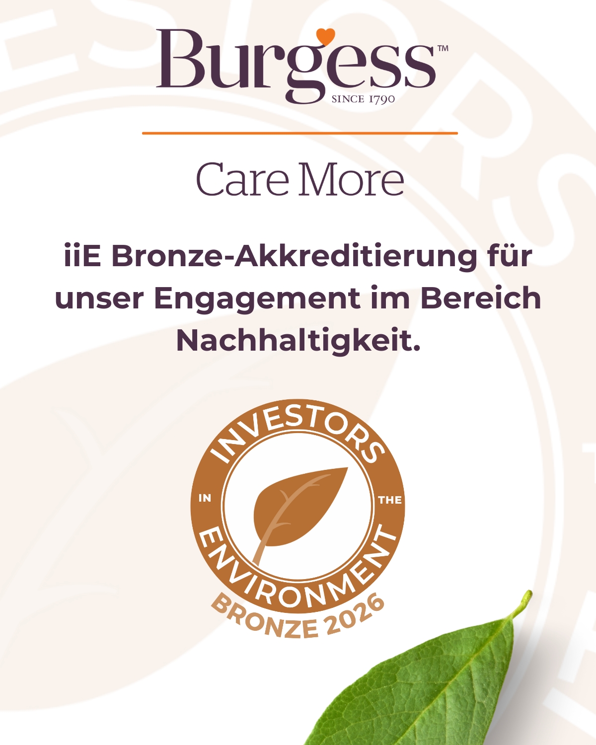 Burgess Pet Care erhält iiE Bronze-Akkreditierung für sein Engagement in Nachhaltigkeit