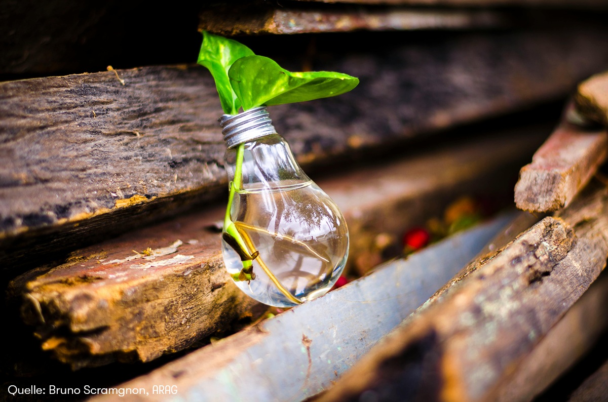 Alte Dinge weiternutzen: Was bei Verschenkekisten & Co. gilt