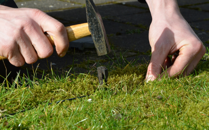 AGRAVIS gibt Tipps für den perfekten Rasen