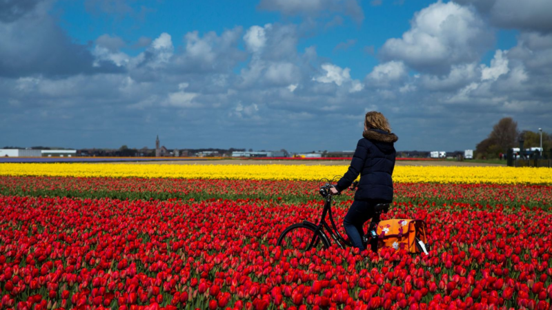 Entspannen in Zandvoort: Badeort lockt mit besonderen Frühlings-Highlights