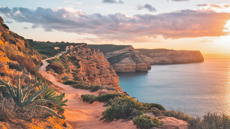 Retreat „Frei & Echt“: Neuausrichtung im beruflichen Wirken