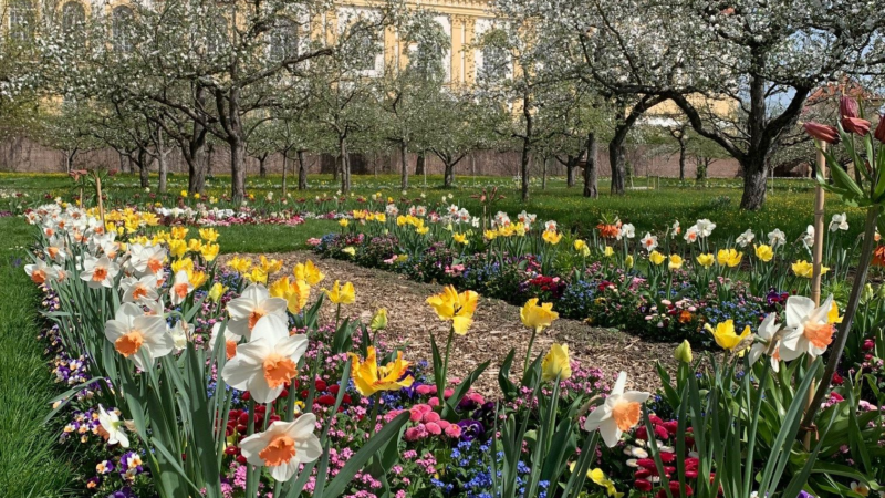 Der Frühling ist da: Die Stadt Dachau startet mit Blüten, Veranstaltungen und Stadtführungen in die neue Saison
