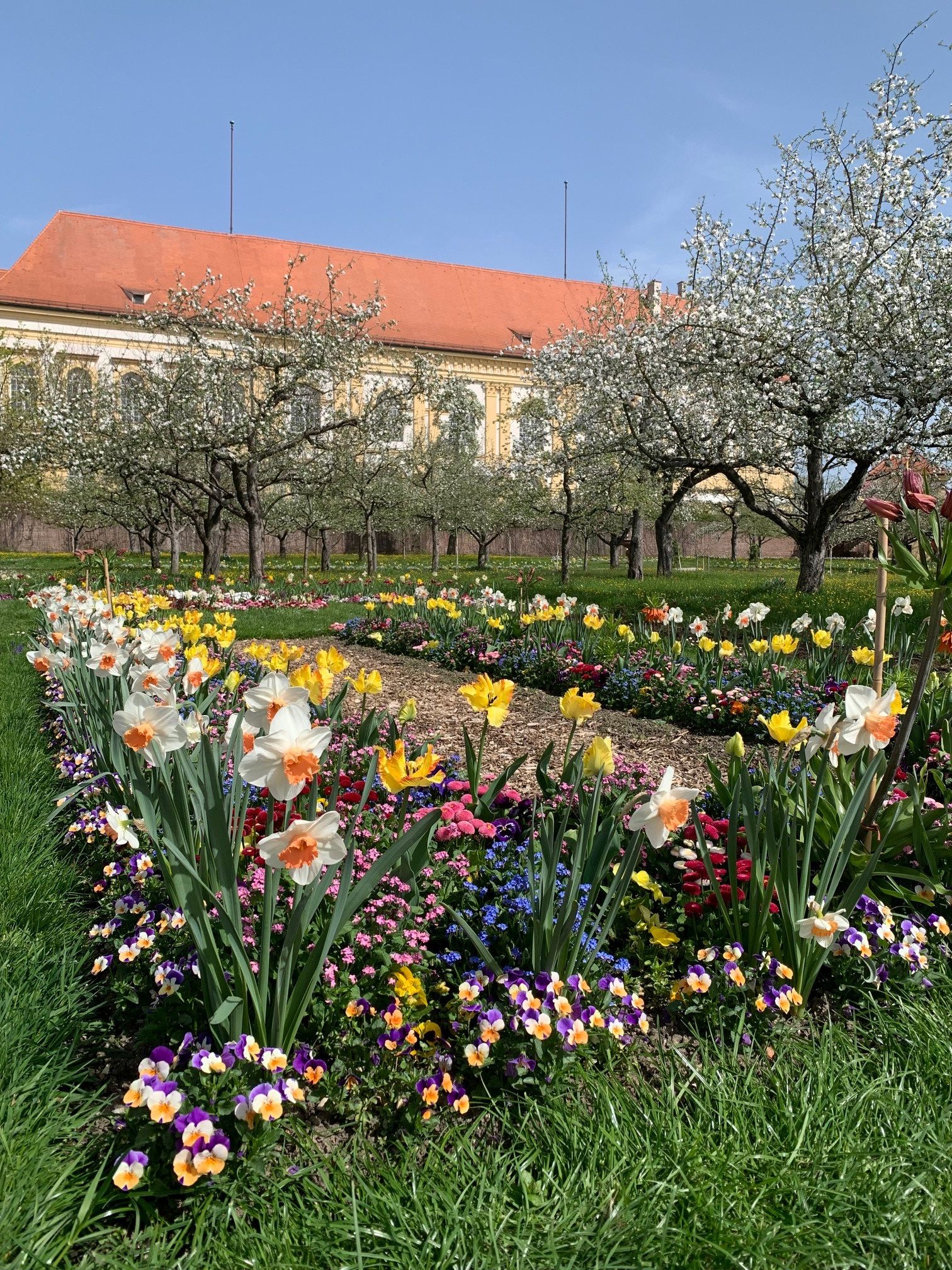 Der Frühling ist da: Die Stadt Dachau startet mit Blüten, Veranstaltungen und Stadtführungen in die neue Saison