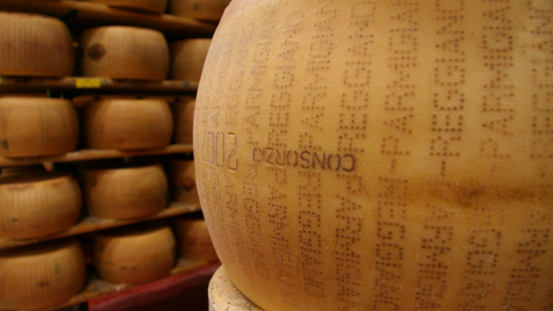 Auf den Spuren des Parmigiano Reggiano g.U.