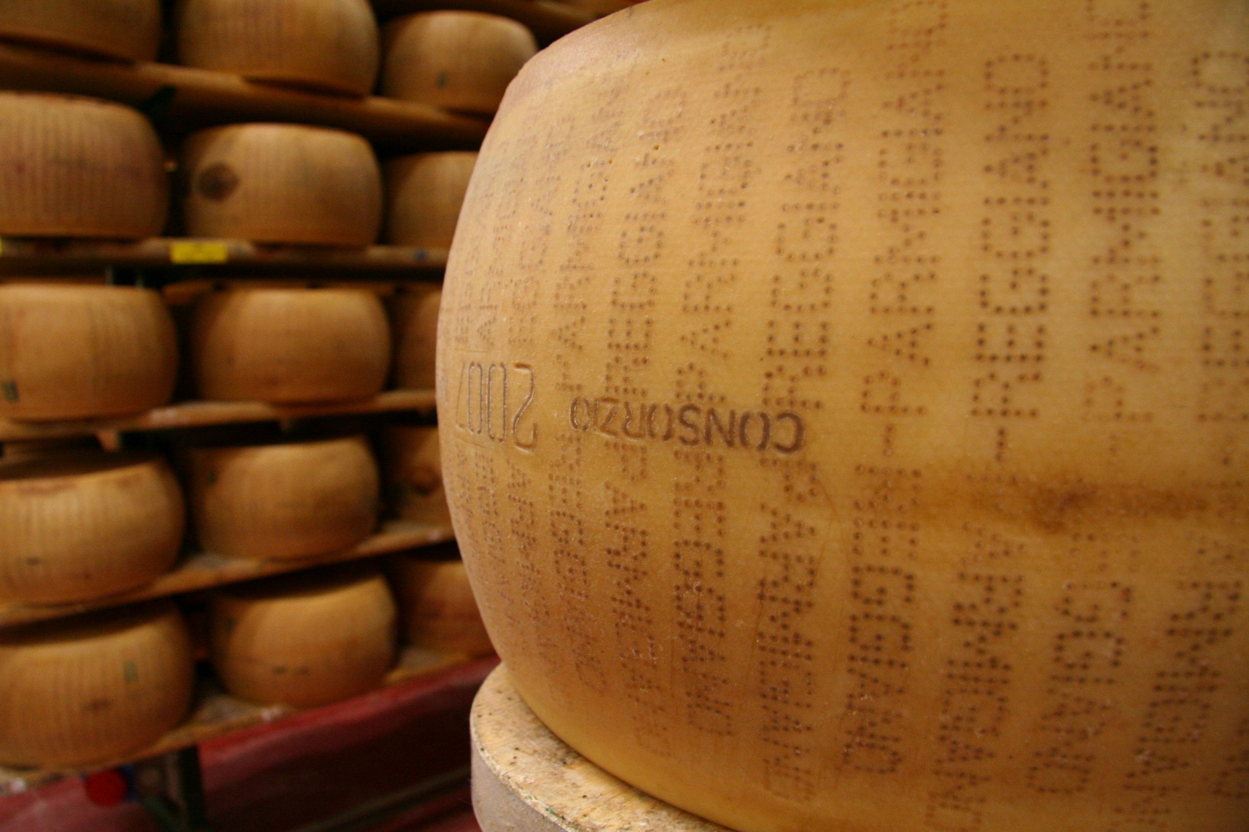 Auf den Spuren des Parmigiano Reggiano g.U.