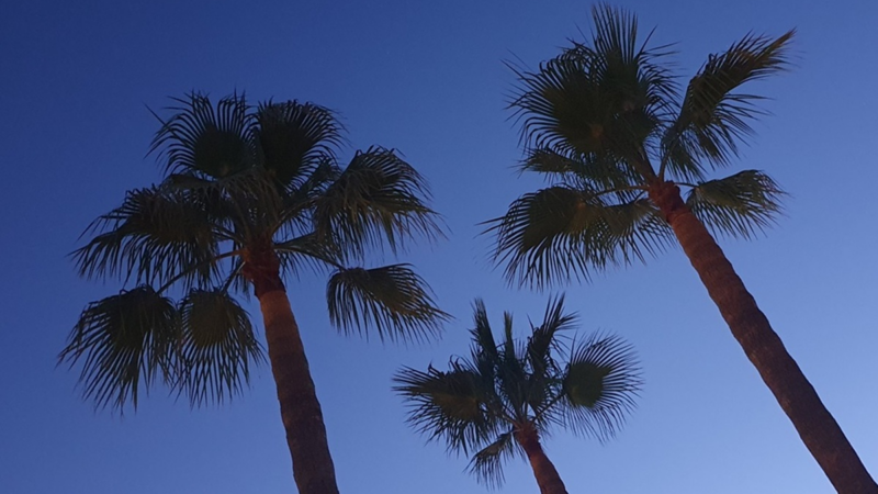 Reise-Rechtstipps für die Osterferien