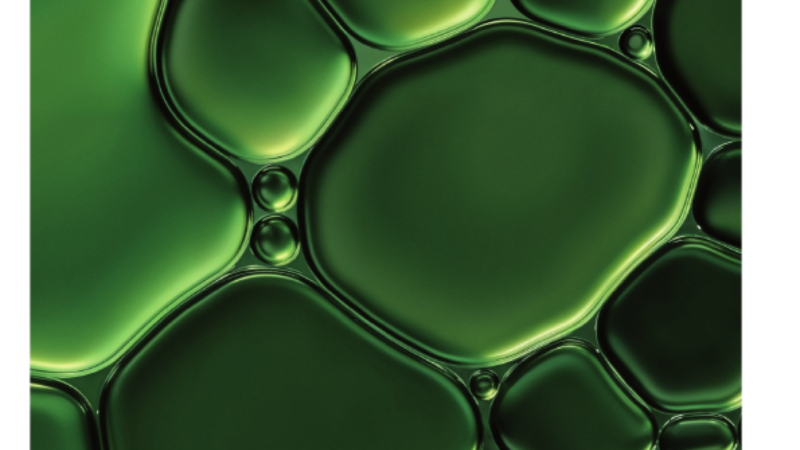 Bioorganische Chemie: Schlüsselwissen für Medizin & Biowissenschaften