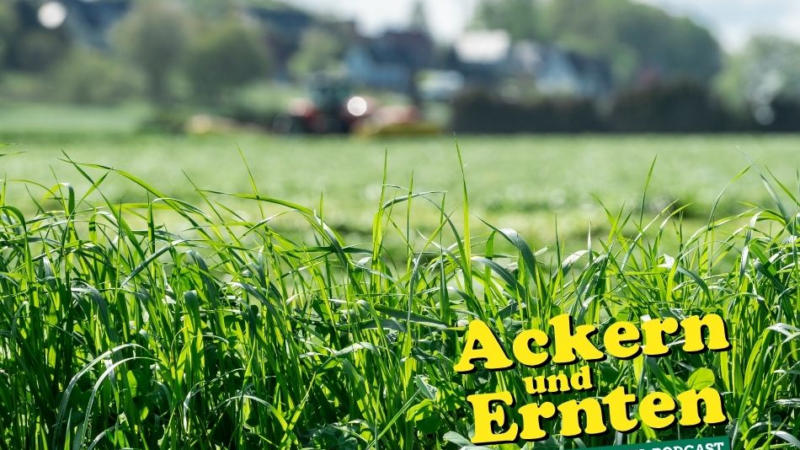 AGRAVIS-Podcast: Erfolgreich ins Weidejahr – Grünlandpflege, Anweiden & erster Schnitt