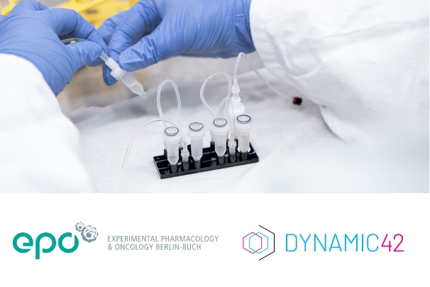 Dynamic42 und EPO verbessern Hirntumorforschung