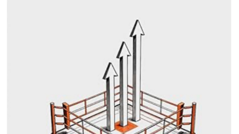 Ein Robotik-Experte und das BINGO Prinzip