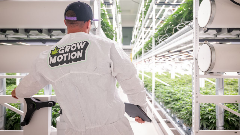 Grow Motion AG: Schweizer Qualität für den europäischen Medizinalcannabis-Markt